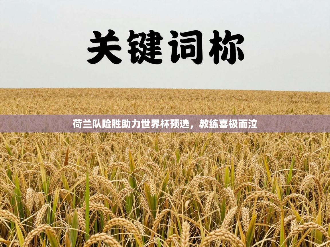 荷兰队险胜助力世界杯预选，教练喜极而泣  第2张