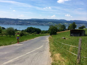 爱游戏体育下载-“缆绳滑水：东桃花岛赛场呈现全新水上运动魅力”